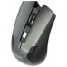 Havit MS919GT Wireless Mouse